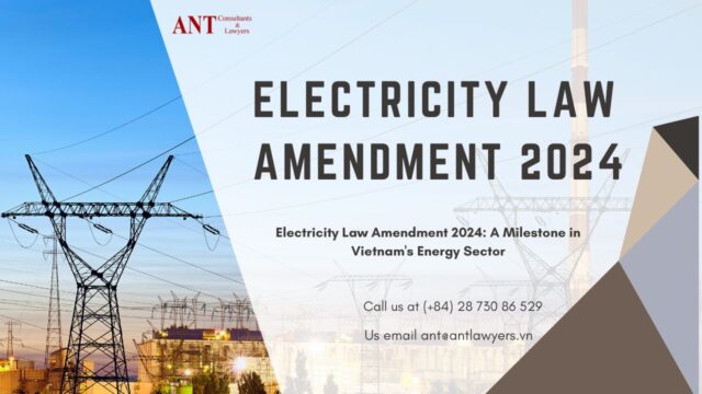 Electricity Law Amendment 2024