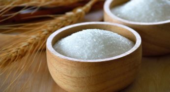 Vietnam to Investigate Anti- dumping Measures on Some Monosodium Glutamate (MSG)