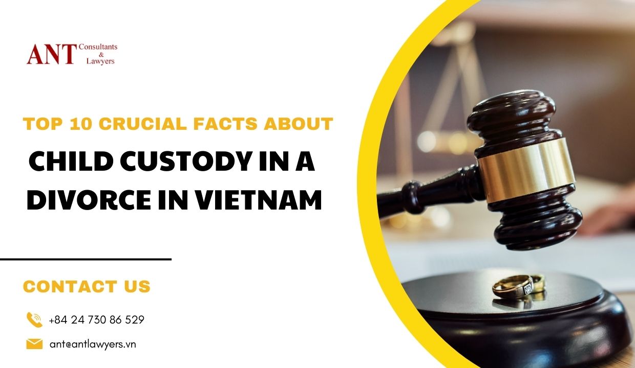 Child_Custody_in_a_Divorce_in_Vietnam