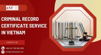 7 Crucial Things Foreigners Must Know About Criminal Record Certificate Service in Vietnam
