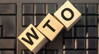 How Does Dispute Settlement Mechanism of WTO Work?
