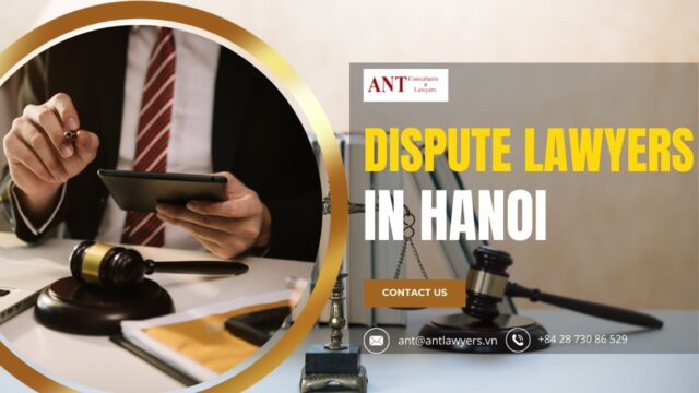 How the Dispute Lawyers in Hanoi Can Help?