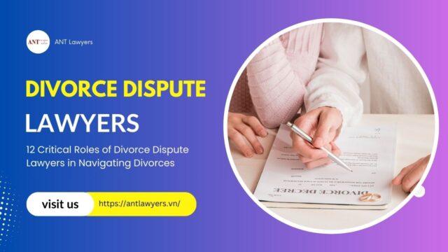 12 Critical Roles of Divorce Dispute Lawyers in Navigating Divorces