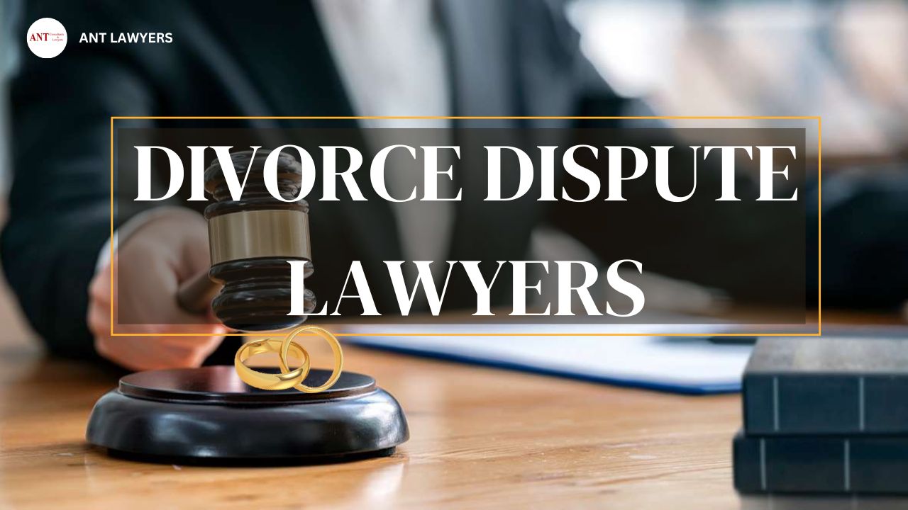 Roles of Divorce Dispute Lawyers in Navigating Divorces