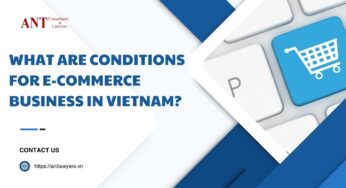 What Are Conditions for E-commerce Business in Vietnam?