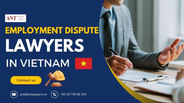 20 Essential Insights from Employment Dispute Lawyers in Vietnam