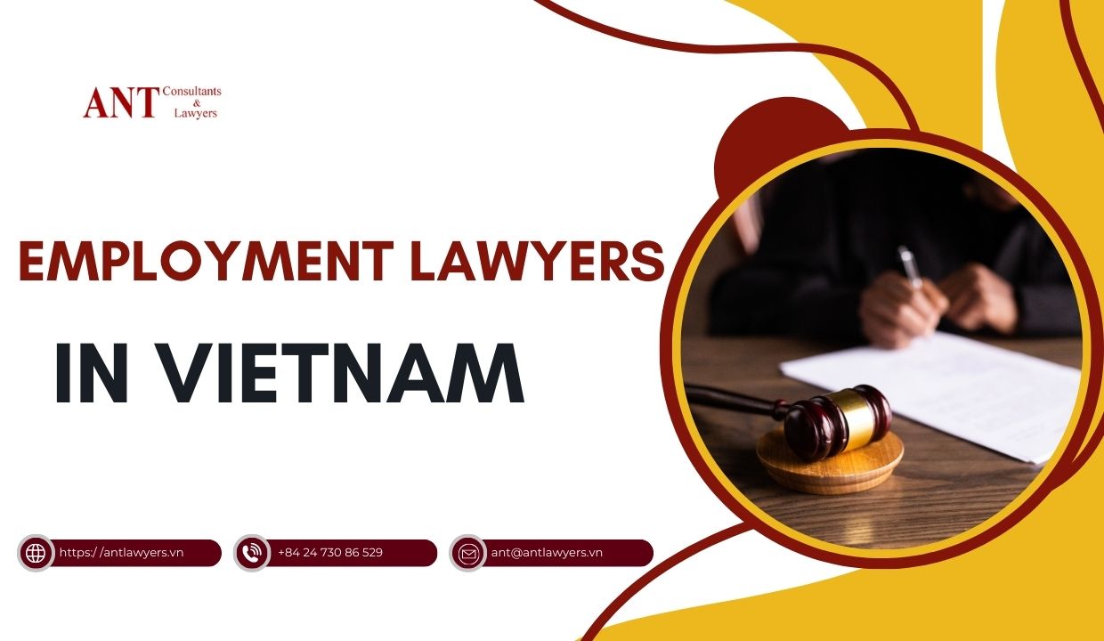 Employment_lawyers_in_Vietnam