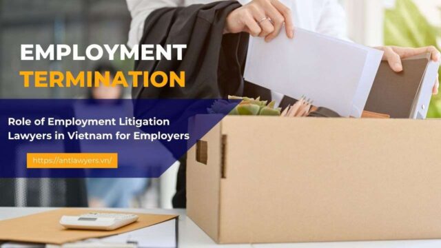 The Role of Employment Litigation Lawyers in Vietnam in Resolving Employer-Employee Disputes