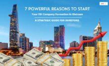 FDI Company Formation in Vietnam