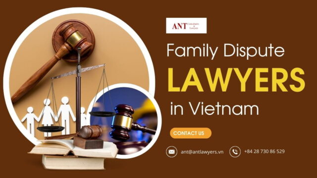 How the Family Dispute Lawyers in Vietnam Can Help?