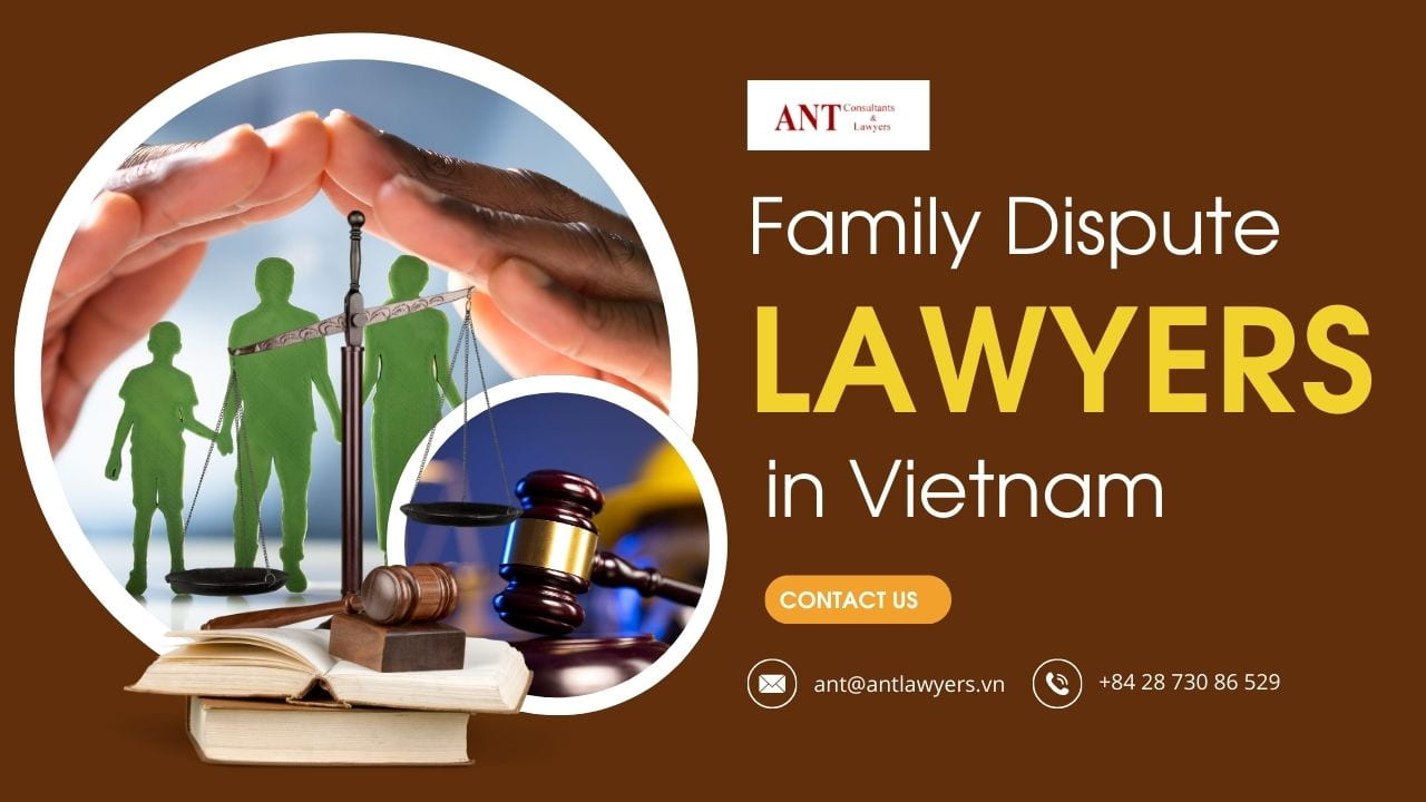 Family Dispute Lawyers in Vietnam