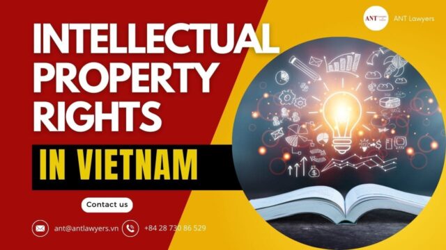 What are important matters of intellectual property rights registration in Vietnam?