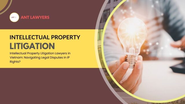 Intellectual Property Litigation Lawyers in Vietnam