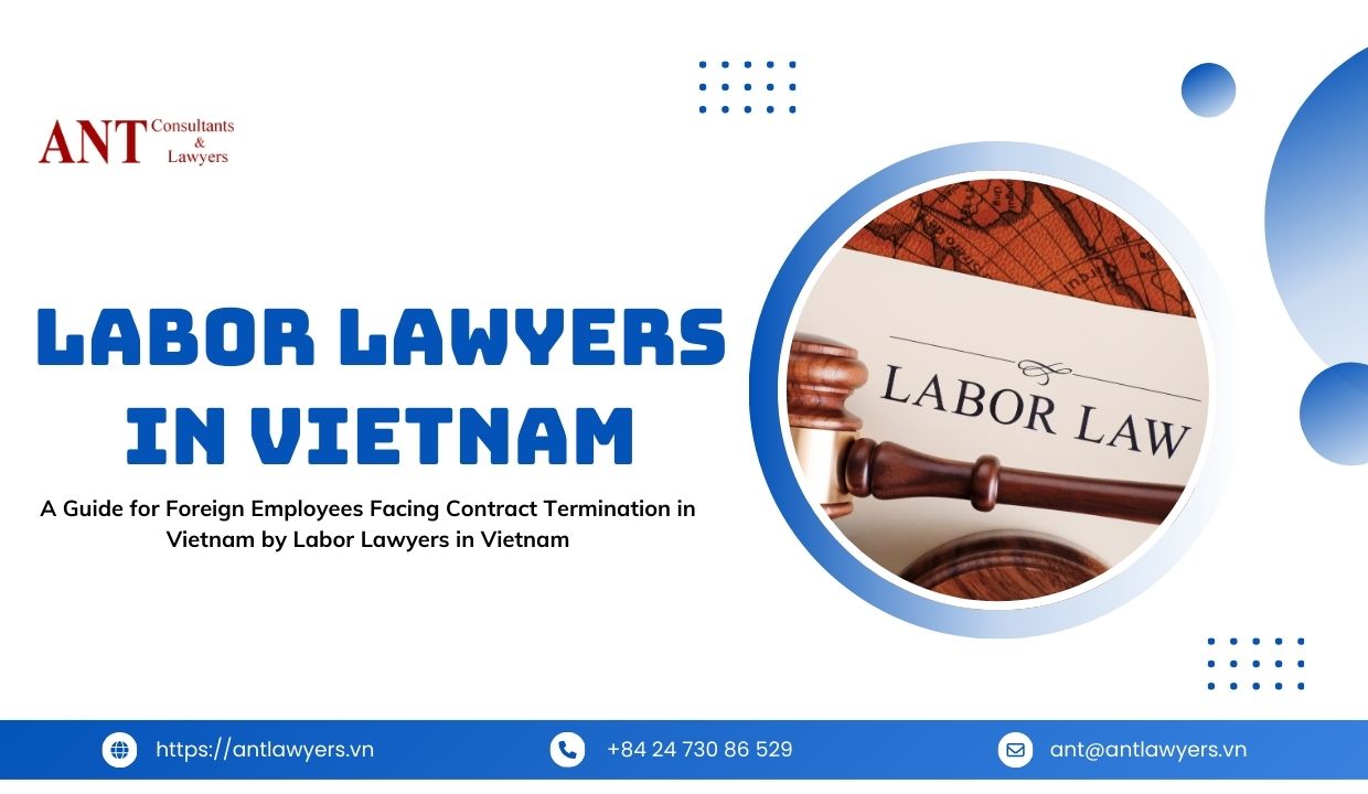 Labor_Lawyers_in_Vietnam