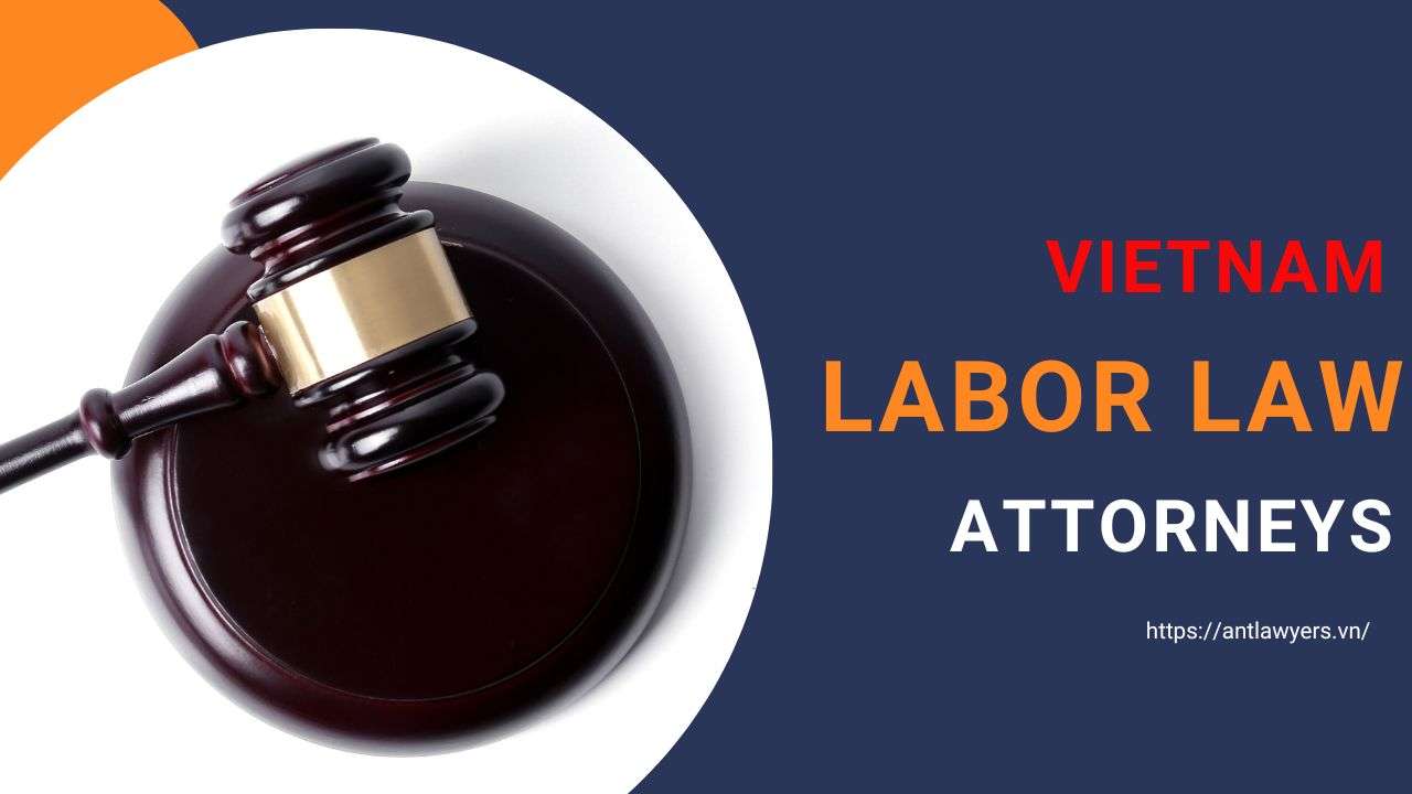 How Labor Law Attorneys in Vietnam Could Help?