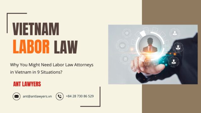 Why You Might Need Labor Law Attorneys in Vietnam