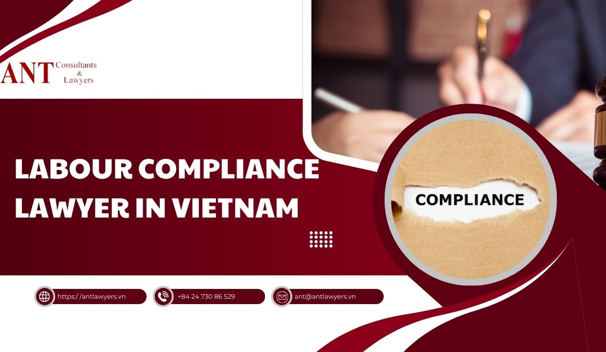 Labour_compliance_lawyer_in_Vietnam