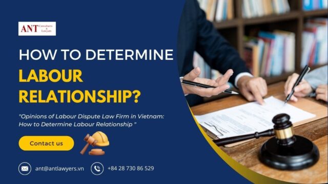 The Role of a Labor Dispute Law Firm in Vietnam