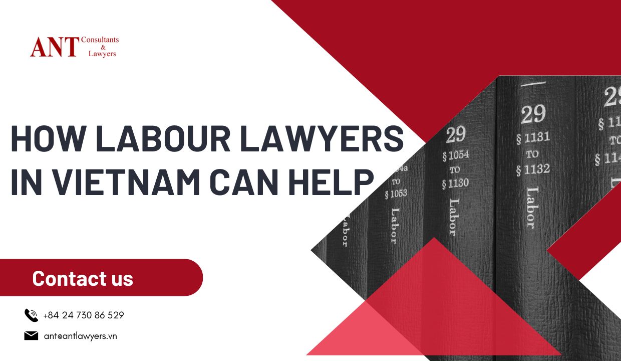 Labour_lawyers_in_Vietnam