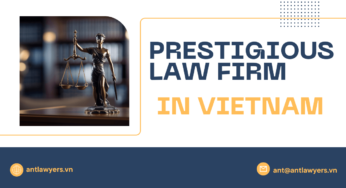 5 Human Qualities That Define a Prestigious Law Firm in Vietnam