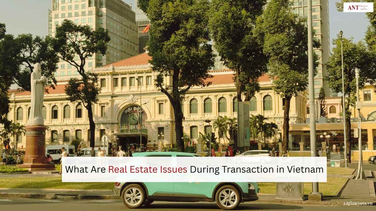 Real Estate Dispute Lawyers in Vietnam