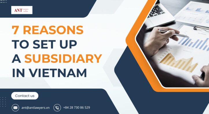 7 Reasons to Set Up a Subsidiary in Vietnam Now: A Powerful and Timely Move Amid Global Shifts