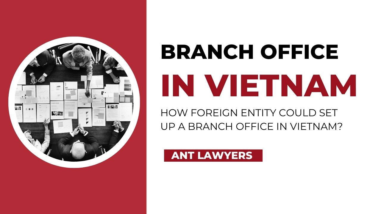 Who can set up a branch office in Vietnam