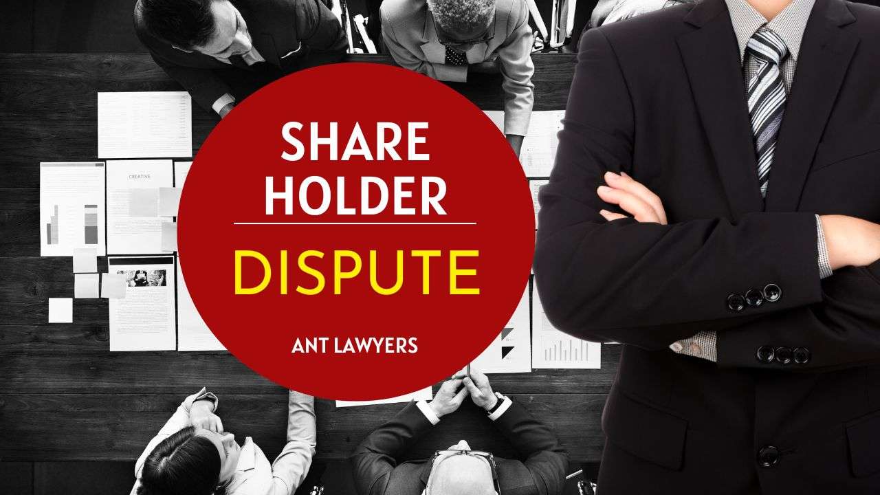 Role of Shareholder Dispute Lawyers in Vietnam