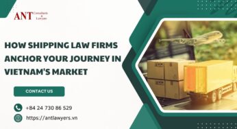5 Pillars of Success: How Shipping Law Firms Anchor Your Journey in Vietnam’s Market