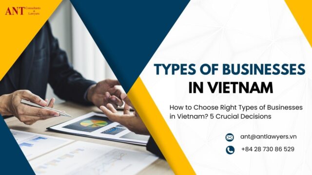 Types of Businesses in Vietnam