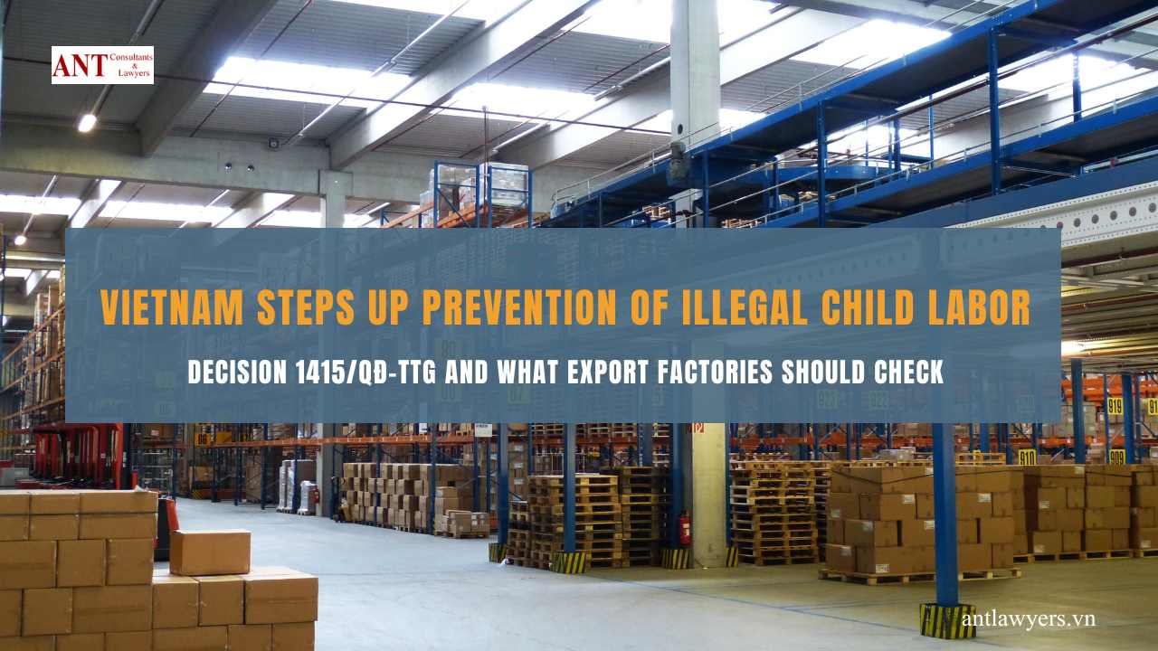 Vietnam Steps Up Prevention of Illegal Child Labor