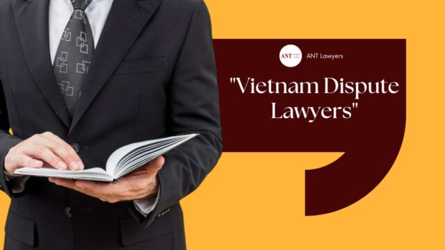 Trends and Insights Concerning Vietnam Dispute Lawyers