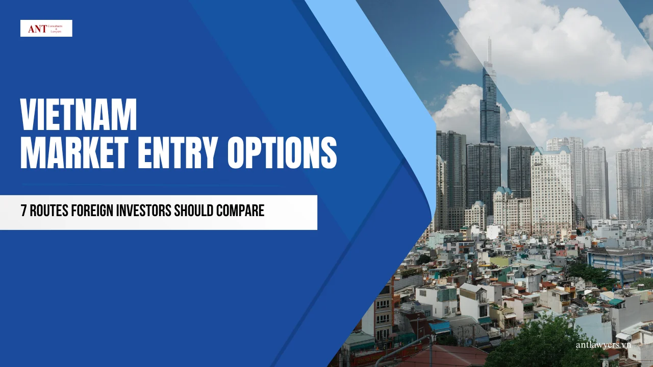 Vietnam Market Entry Options