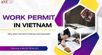10 Essential Insights into Work Permit in Vietnam: A Complete Guide for Foreign Workers and Employers