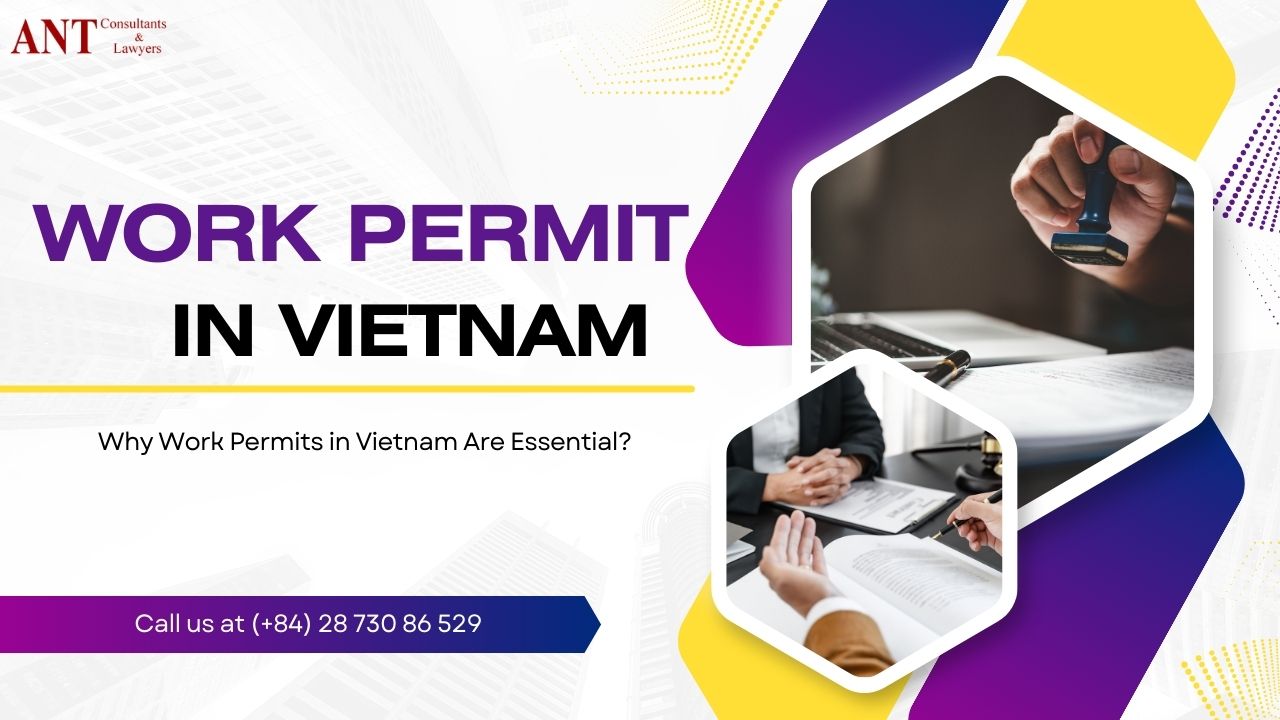 work permit in Vietnam